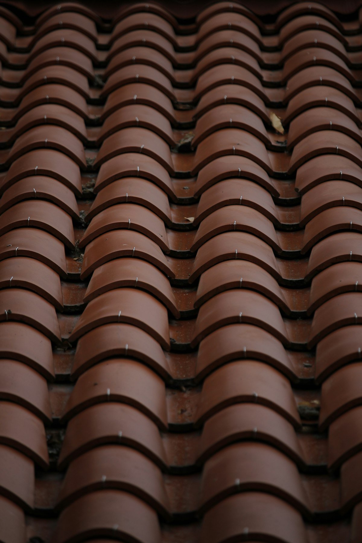 Close-up of traditional clay roof tiles